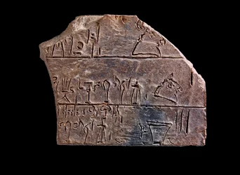 Fragment d